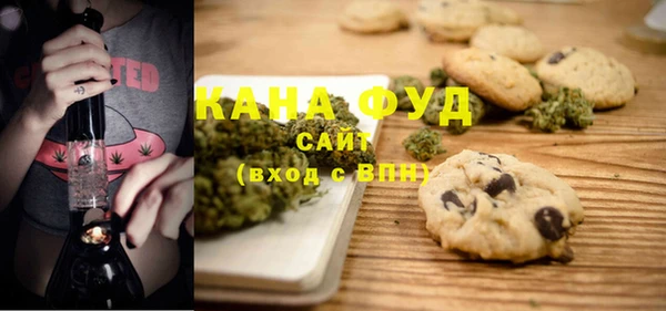 хмурый Няндома